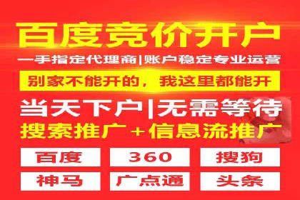 百度竞价公司案例分析：优化策略全解析
